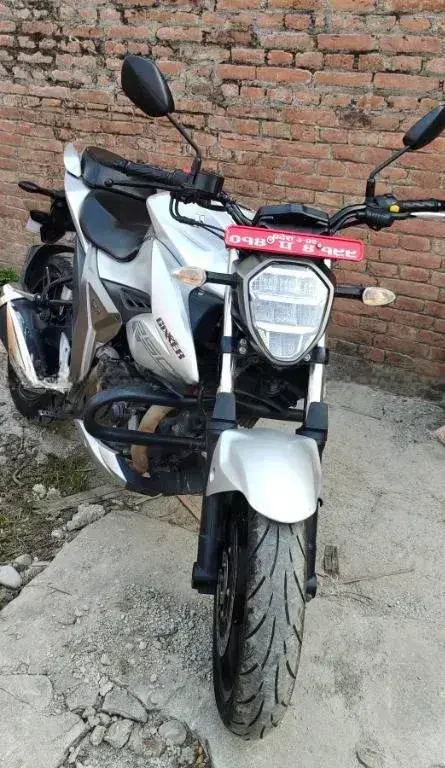 2019 Suzuki Gixxer 250 image