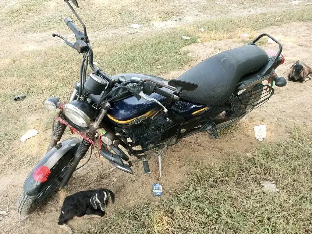 2016 Bajaj Avenger 150 Street image