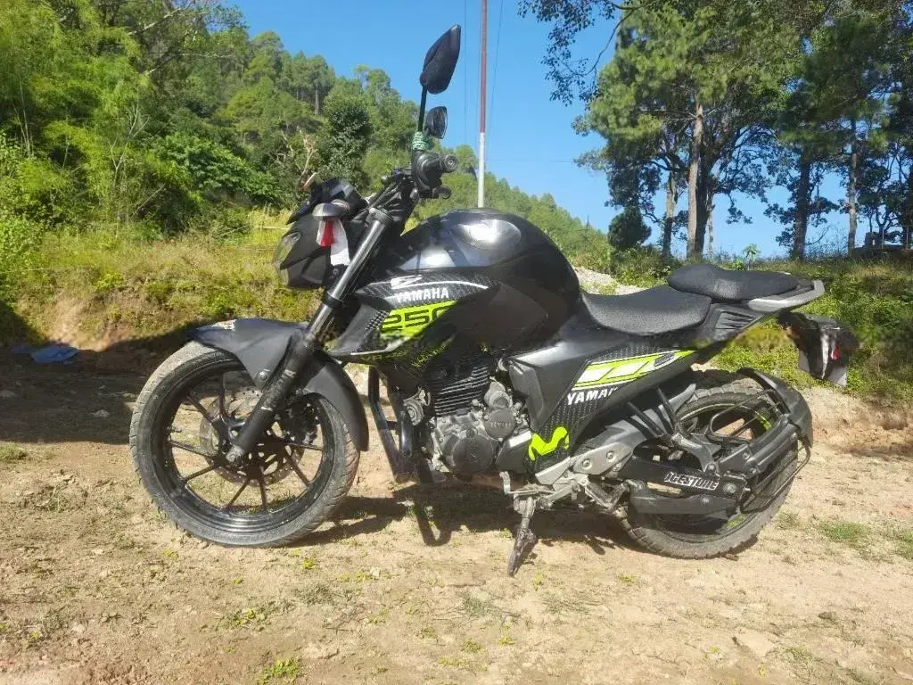 2017 Yamaha FZ 25 image