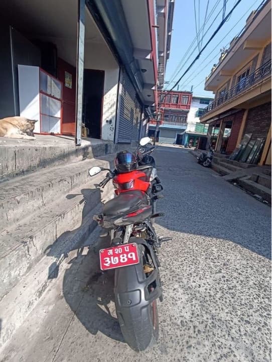 2019 Bajaj NS 200 FI ABS image