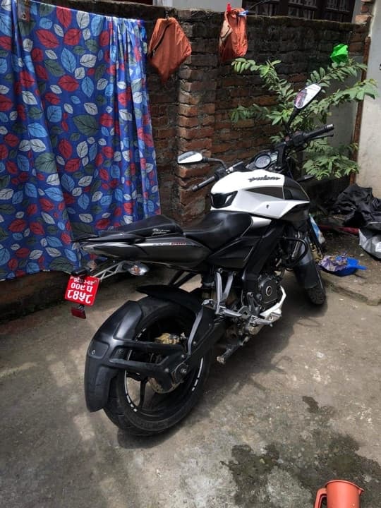 2020 Bajaj Pulsar NS 200 image