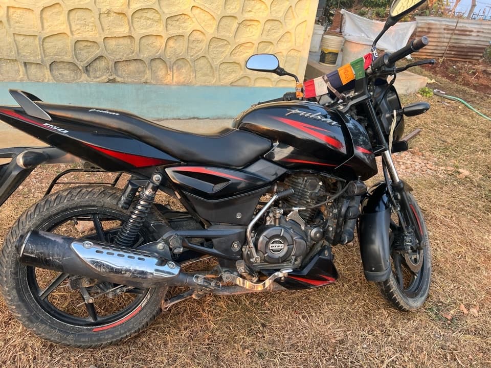 2019 Bajaj Pulsar 150 image