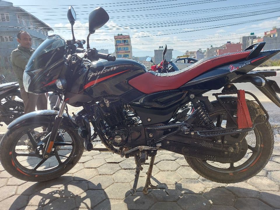 2022 Bajaj Pulsar 125 image