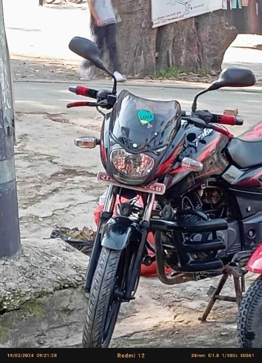 2017 Bajaj Pulsar 150 image