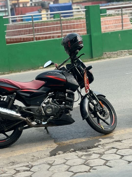 2020 Bajaj Pulsar 150 image