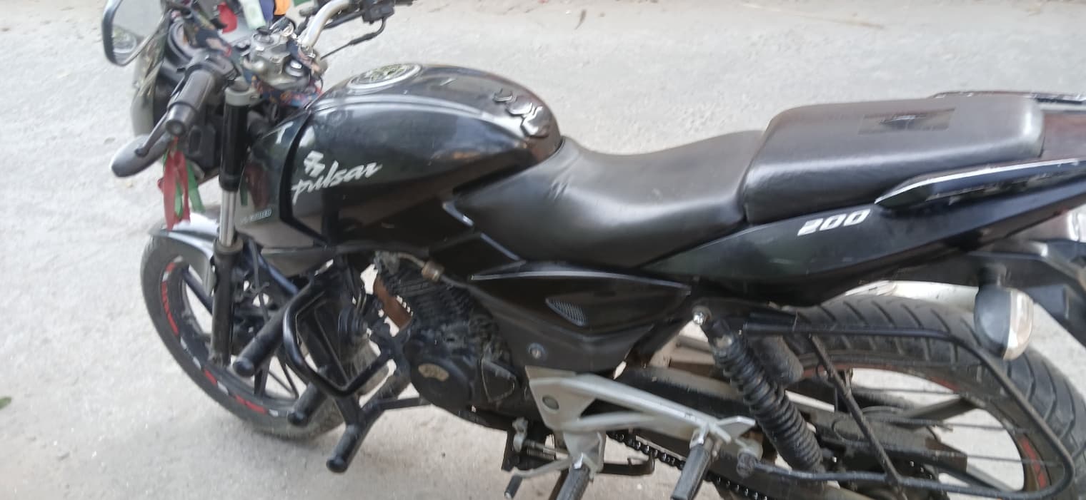 2009 Bajaj Avenger 200 image