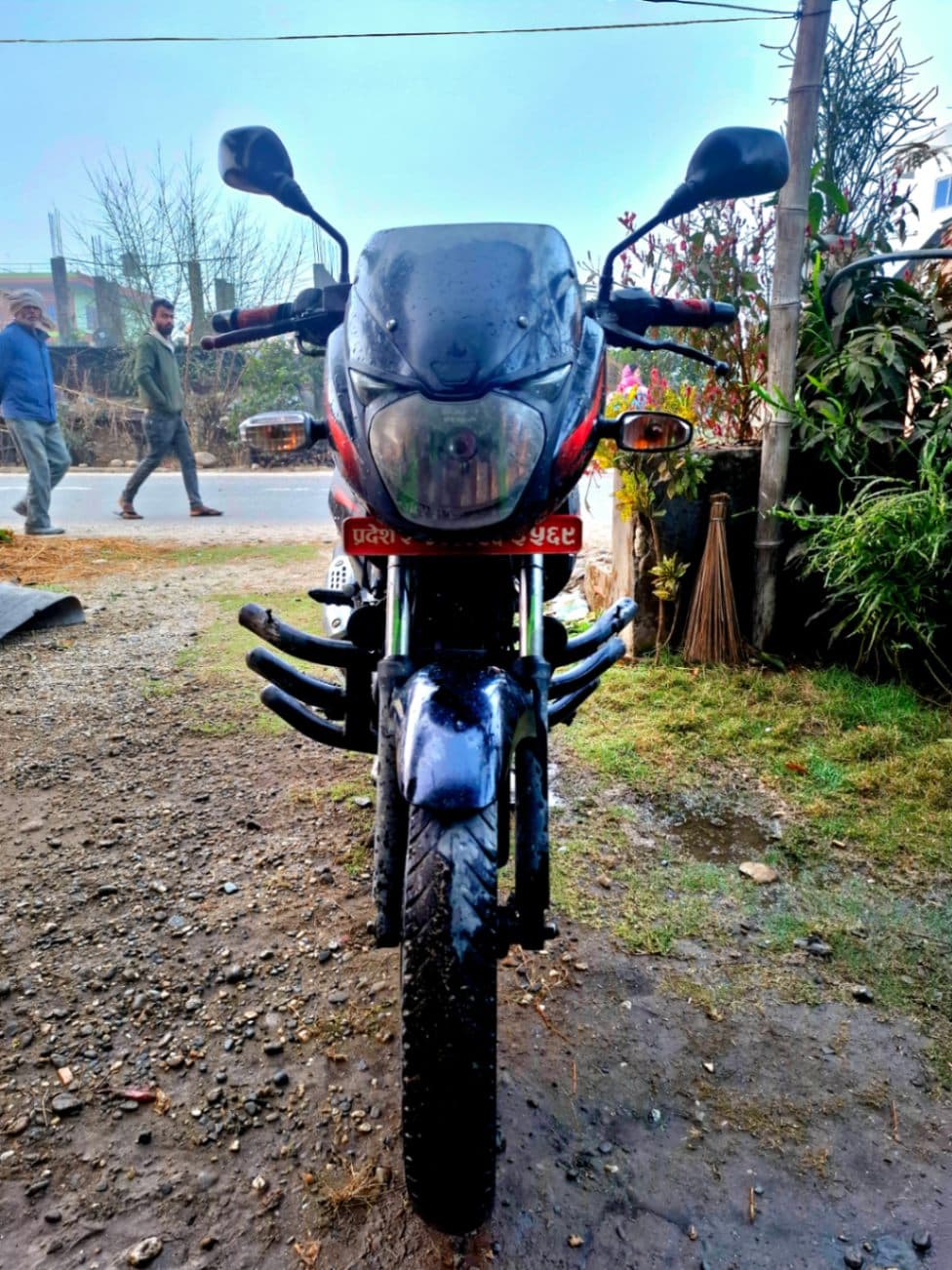 2018 Bajaj Pulsar 150 image