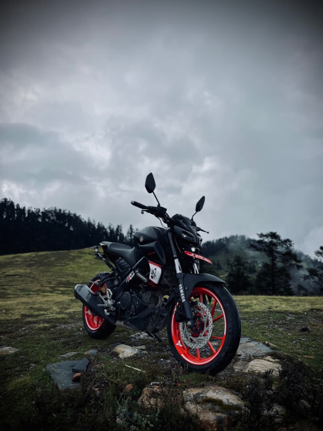 2023 Yamaha MT-15 image