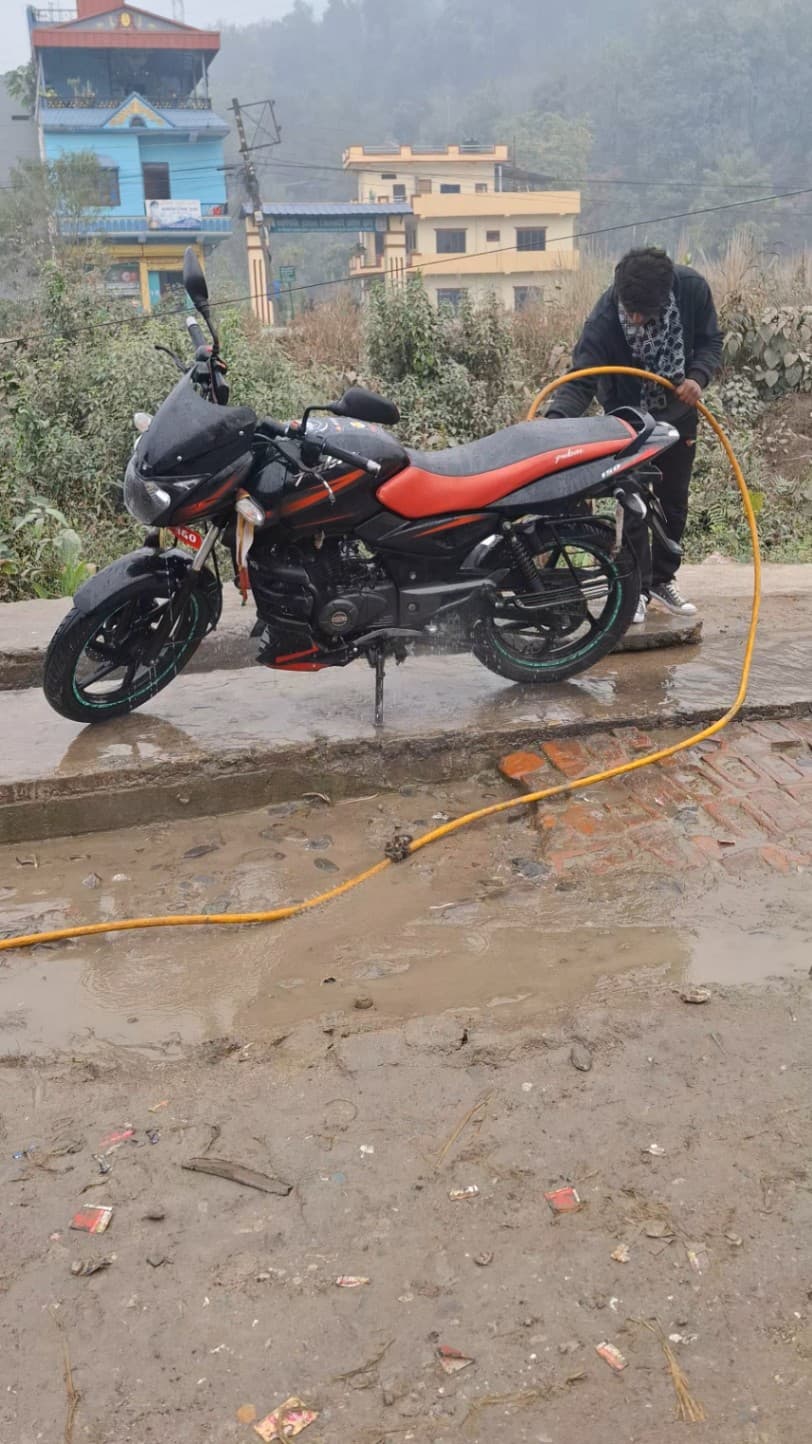 2019 Bajaj Pulsar 150 image